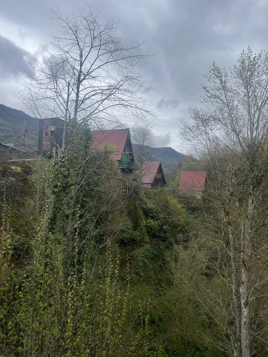 Bungalove Tatil Köyü — fotoğraf 2