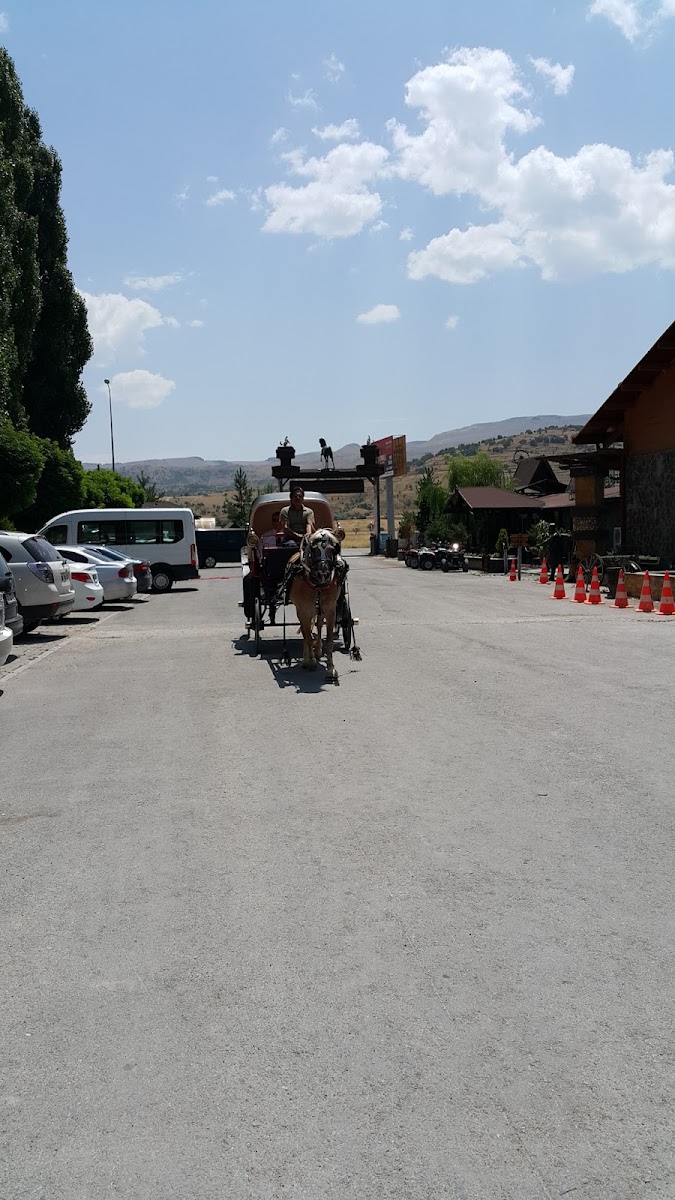 Burak At Çiftliği — fotoğraf 8