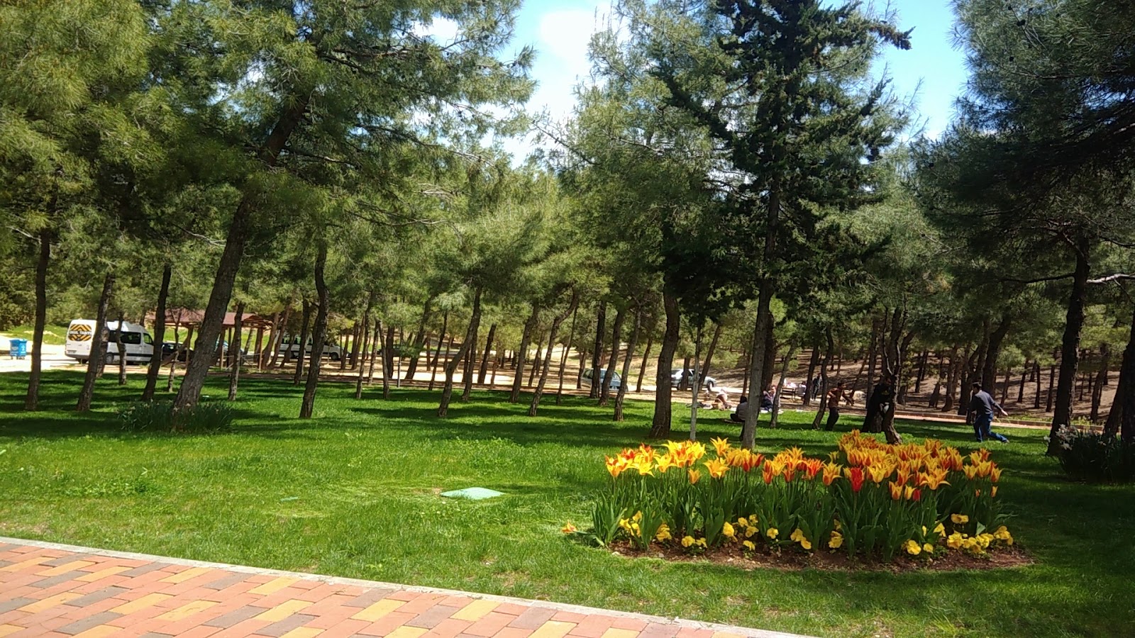Burç Tabiat Parkı — fotoğraf 3