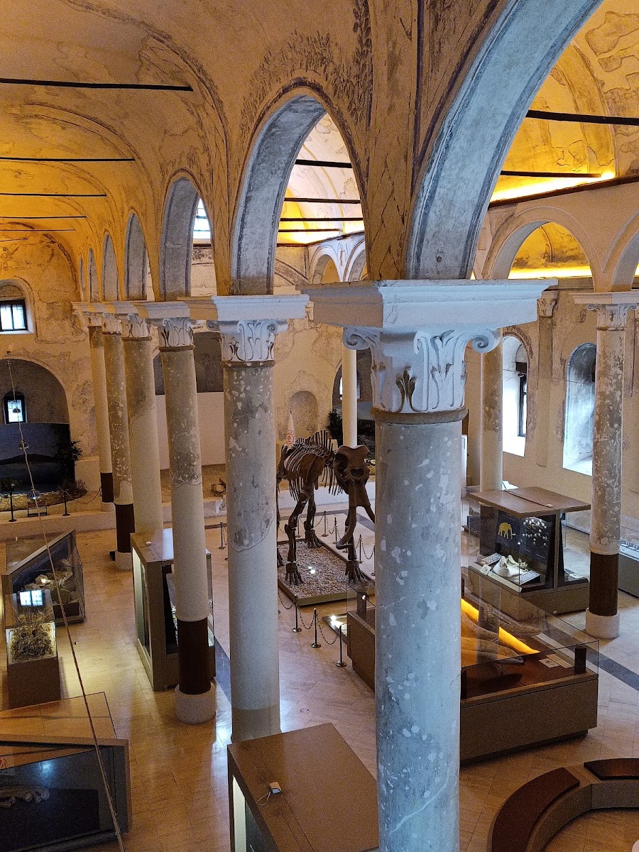 Burdur Doğa Tarihi Müzesi — fotoğraf 2