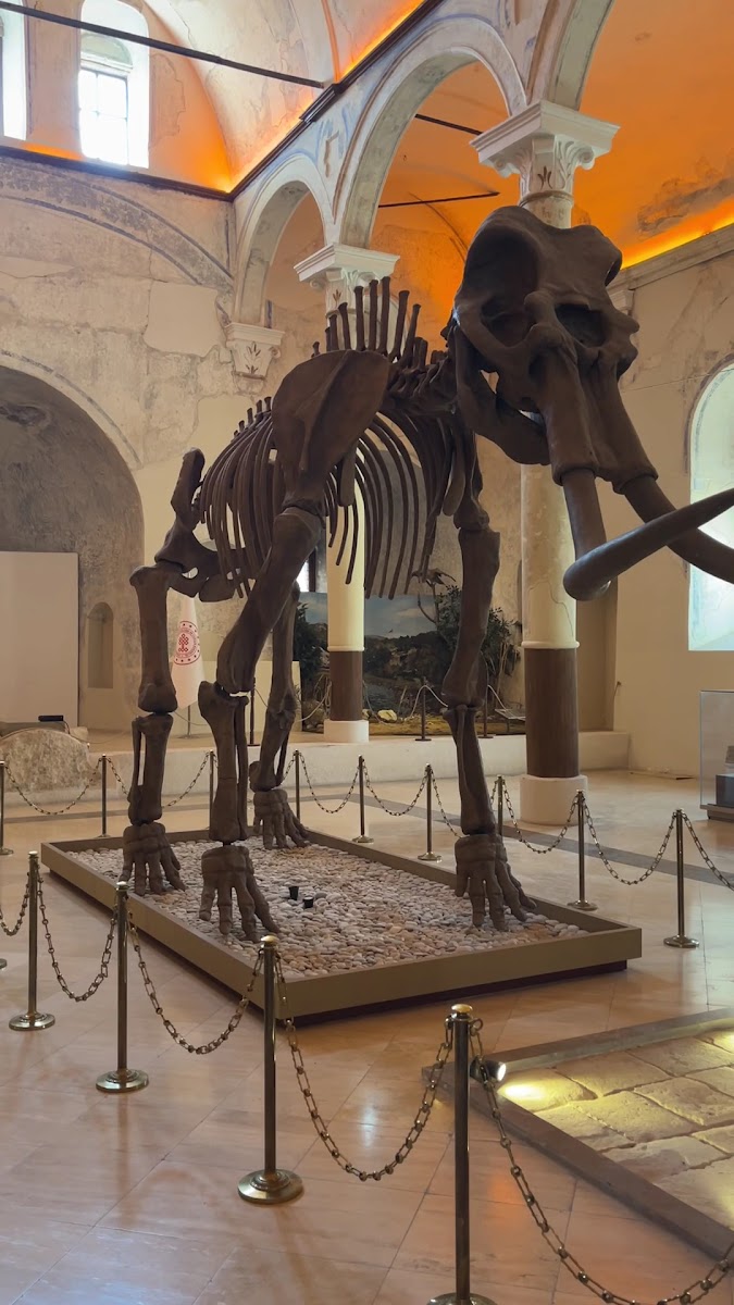 Burdur Doğa Tarihi Müzesi — fotoğraf 3