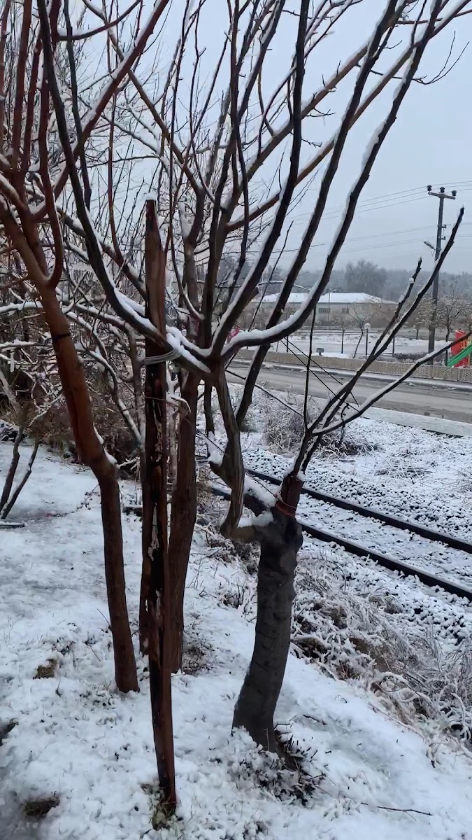 Burdur Kültür Merkezi — fotoğraf 2