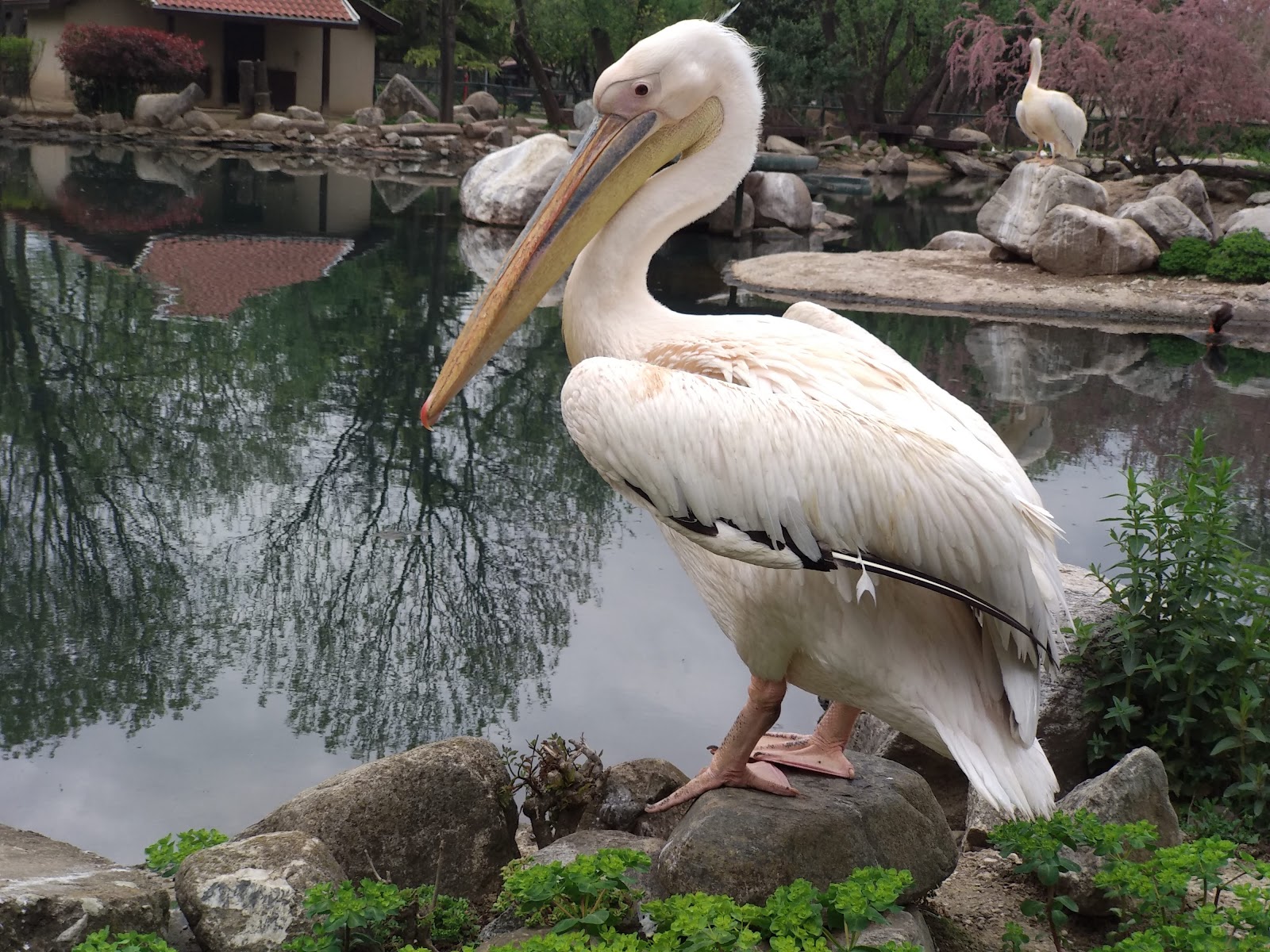 Bursa Hayvanat Bahçesi — fotoğraf 4