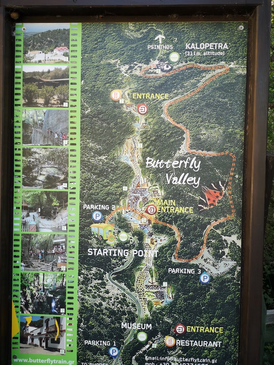 Butterflies Valley — fotoğraf 4