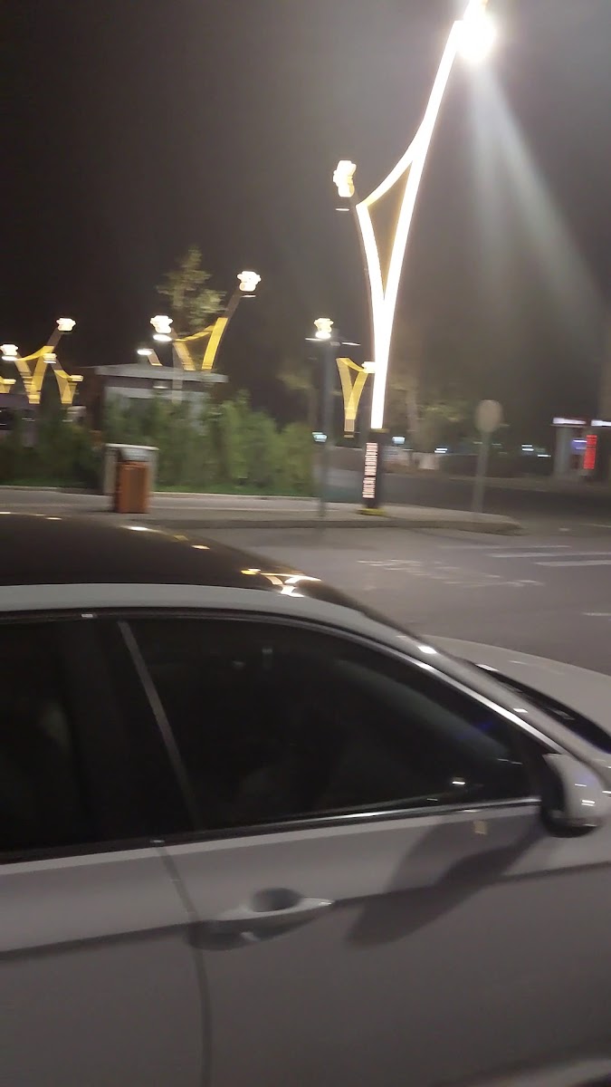 Büyük Bingöl Otel — fotoğraf 3