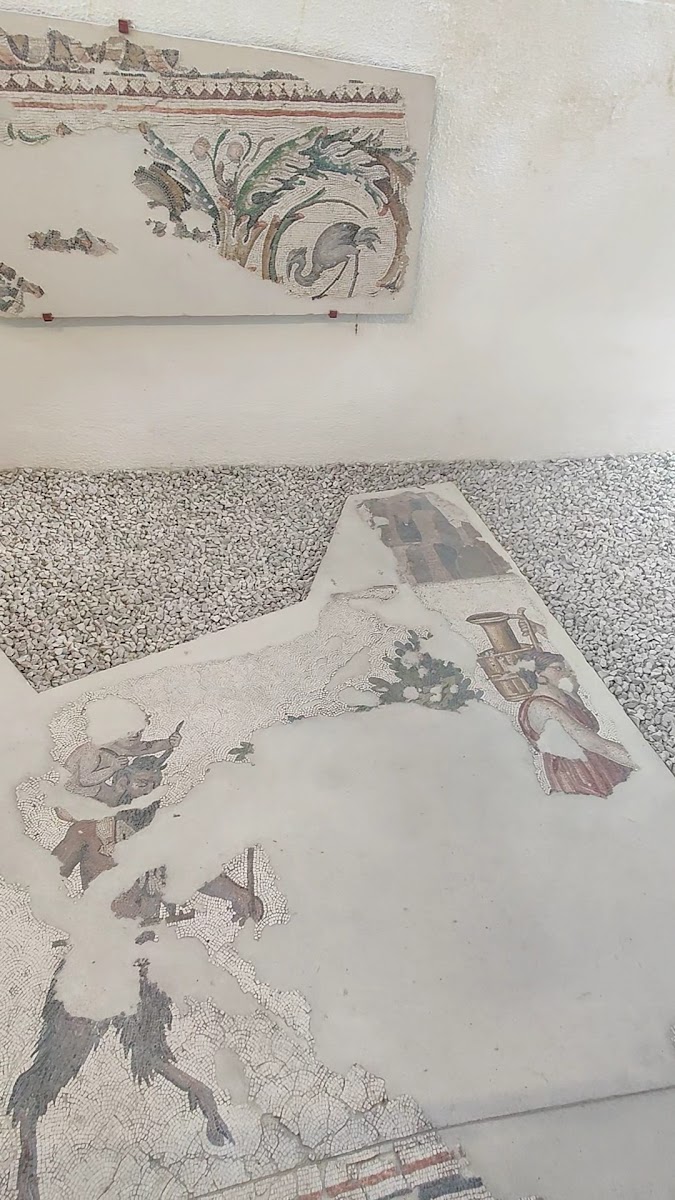 Büyük Saray Mozaikleri Müzesi — photo 2