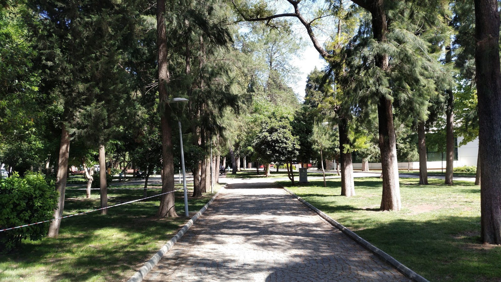 Büyükpark — fotoğraf 1