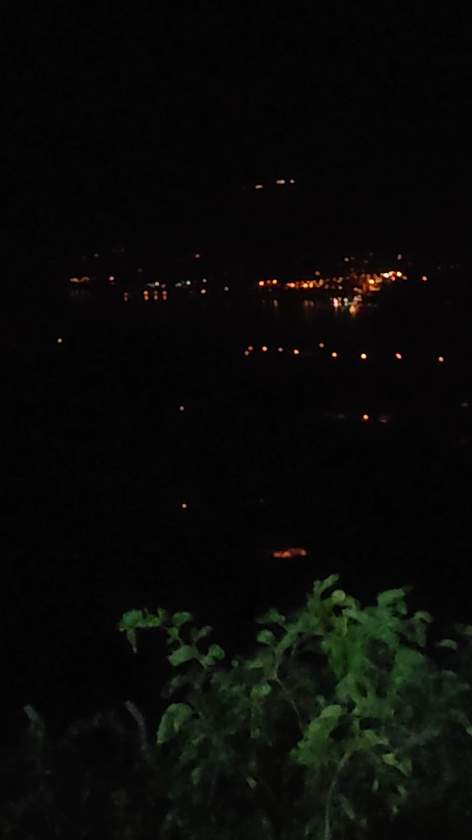 BUZLUK TESİSLERİ — fotoğraf 3