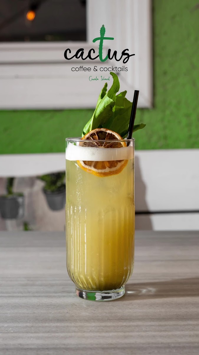 Cactus Coffee & Cocktails | Cunda - Ayvalık — fotoğraf 3