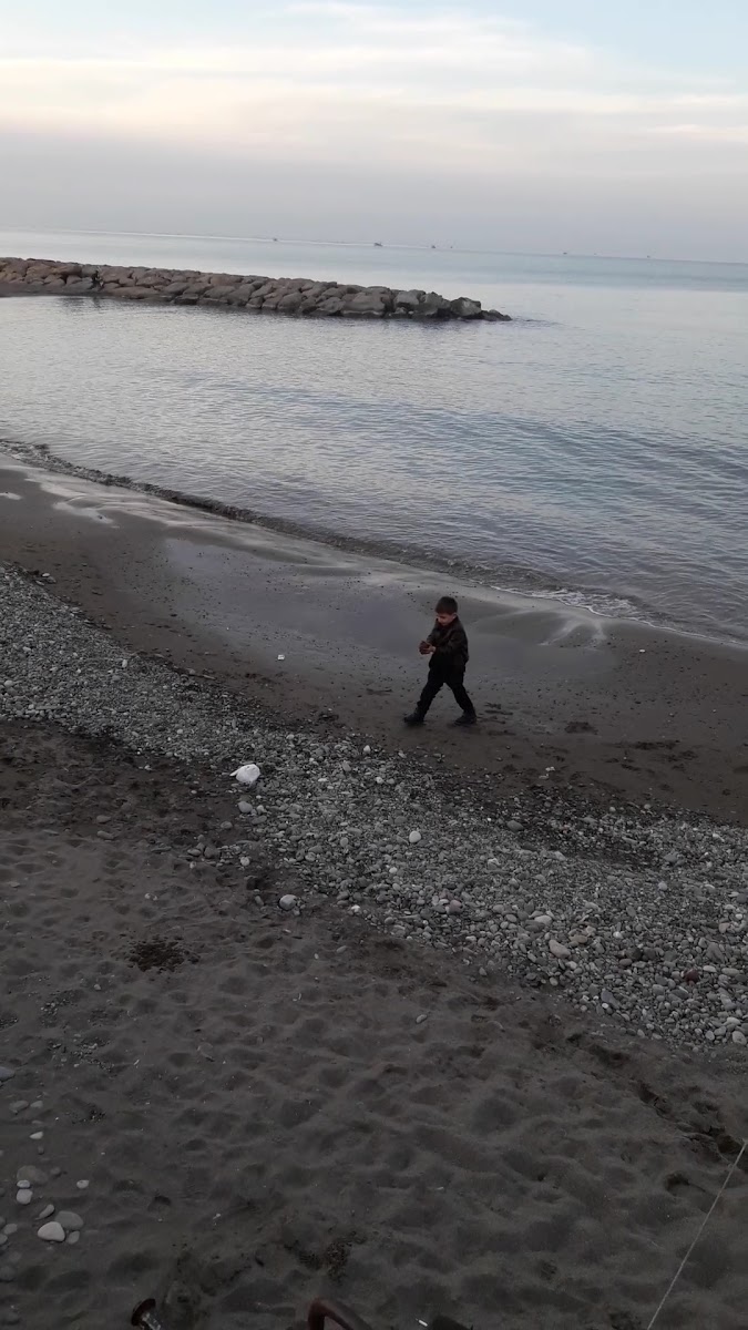 Cafaedar — photo 3