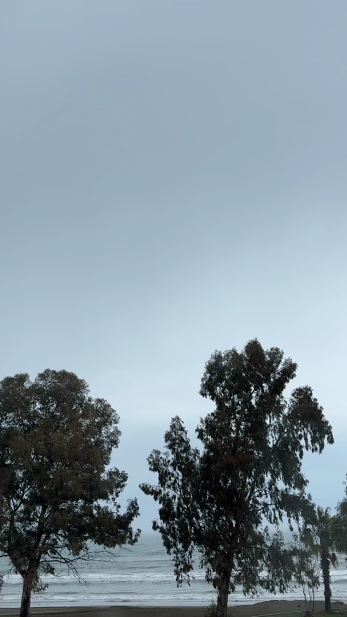 Cafe Home — fotoğraf 3