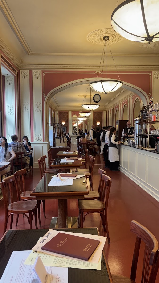 Café Louvre — photo 3