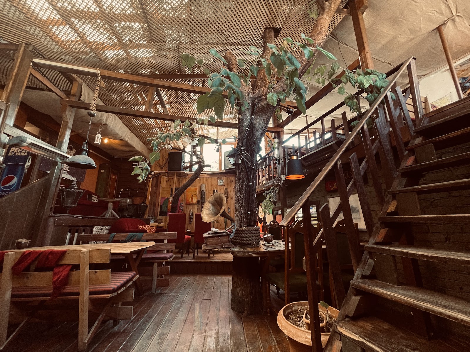 Café Rasta — photo 5