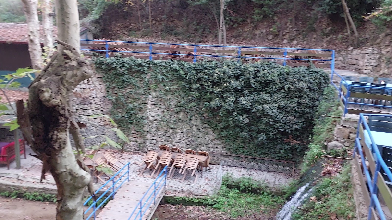 Çağlayan Alabalık — fotoğraf 3