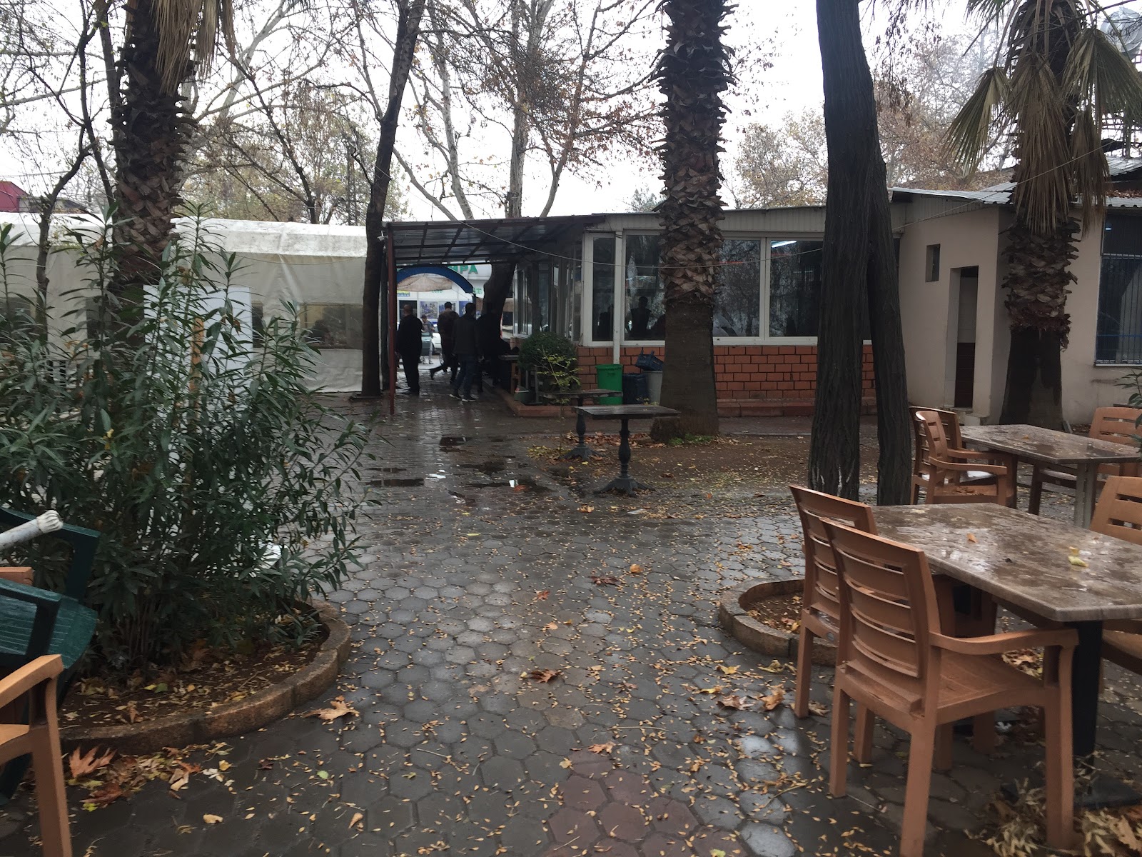 Çağrı Yaprak Döner — fotoğraf