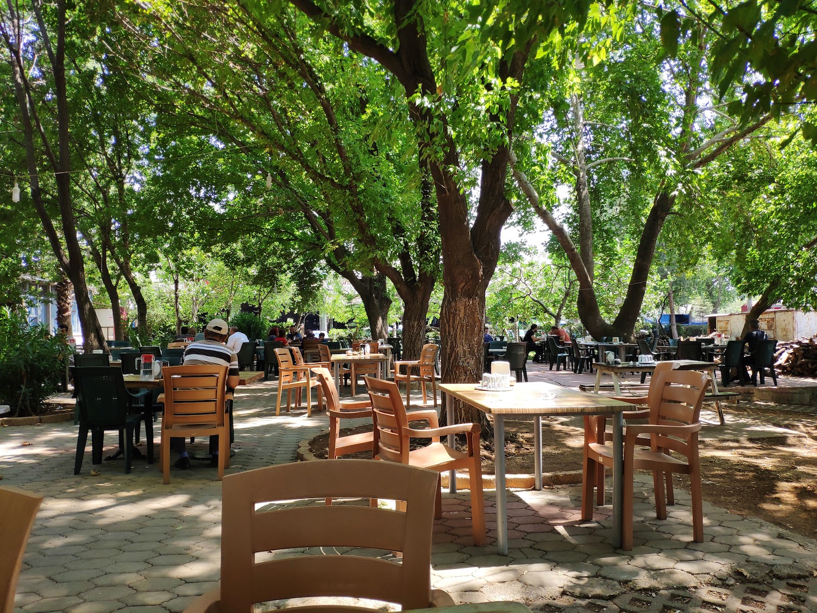 Çağrı Yaprak Döner — fotoğraf 4