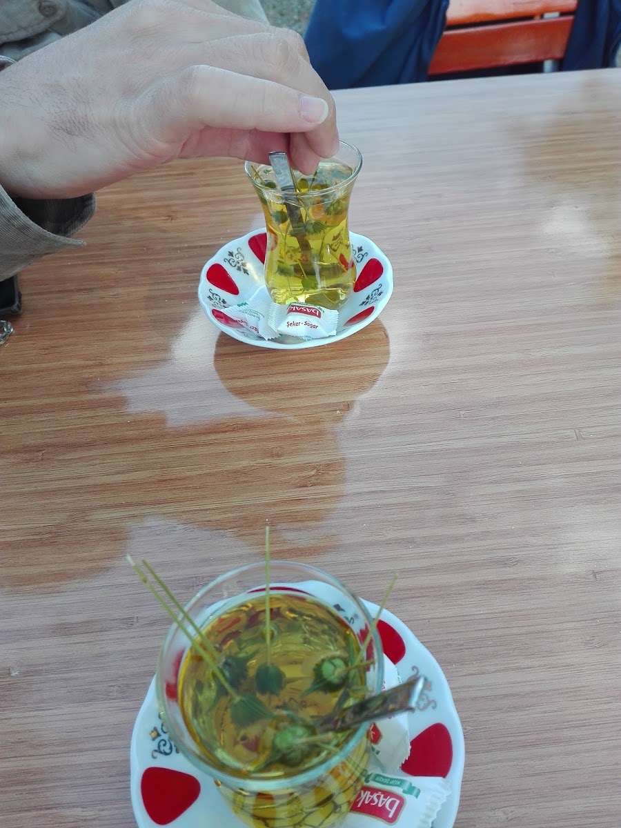 Çahan Kardeşler Canlı Alabalık Lokantası — photo 2