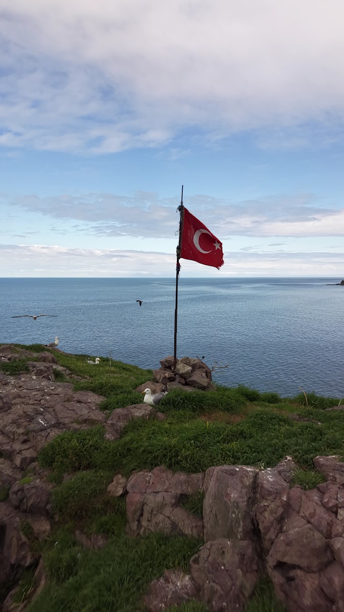 Çaka Hoynat Tüneli 151 Mt. — fotoğraf 2