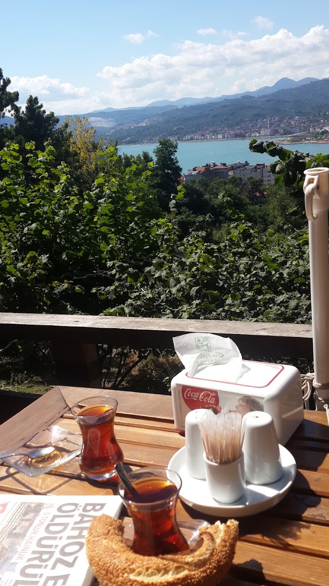Çakırtepe Pelit Park — photo 5