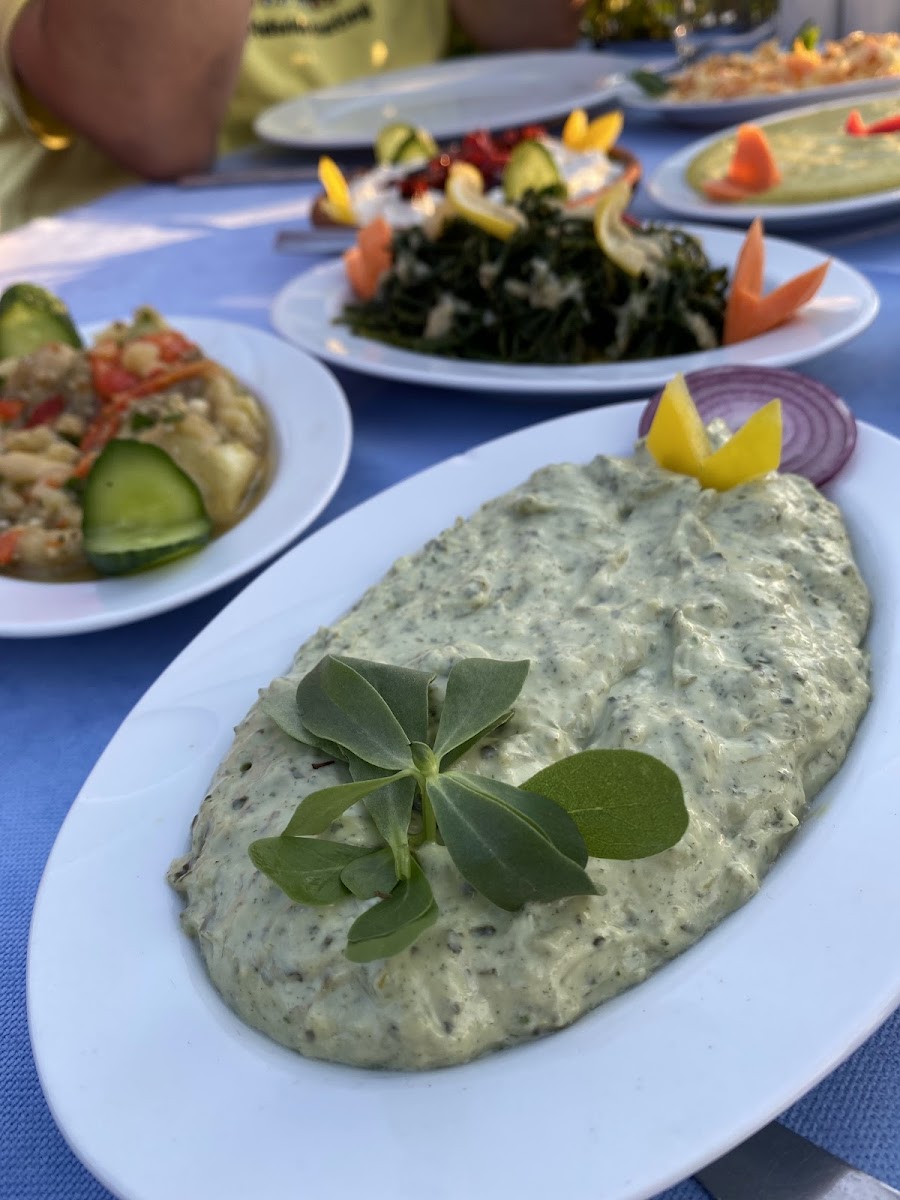 Çalış Balıkçısı — fotoğraf 4