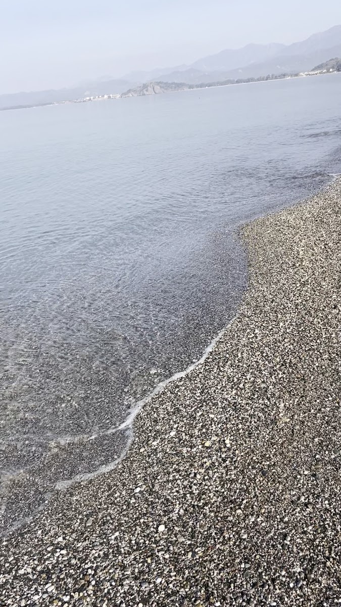 Çalış Plajı Kuş Cenneti — fotoğraf 3