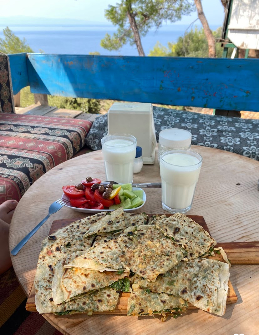 ÇAM DALI GÖZLEME — photo 5
