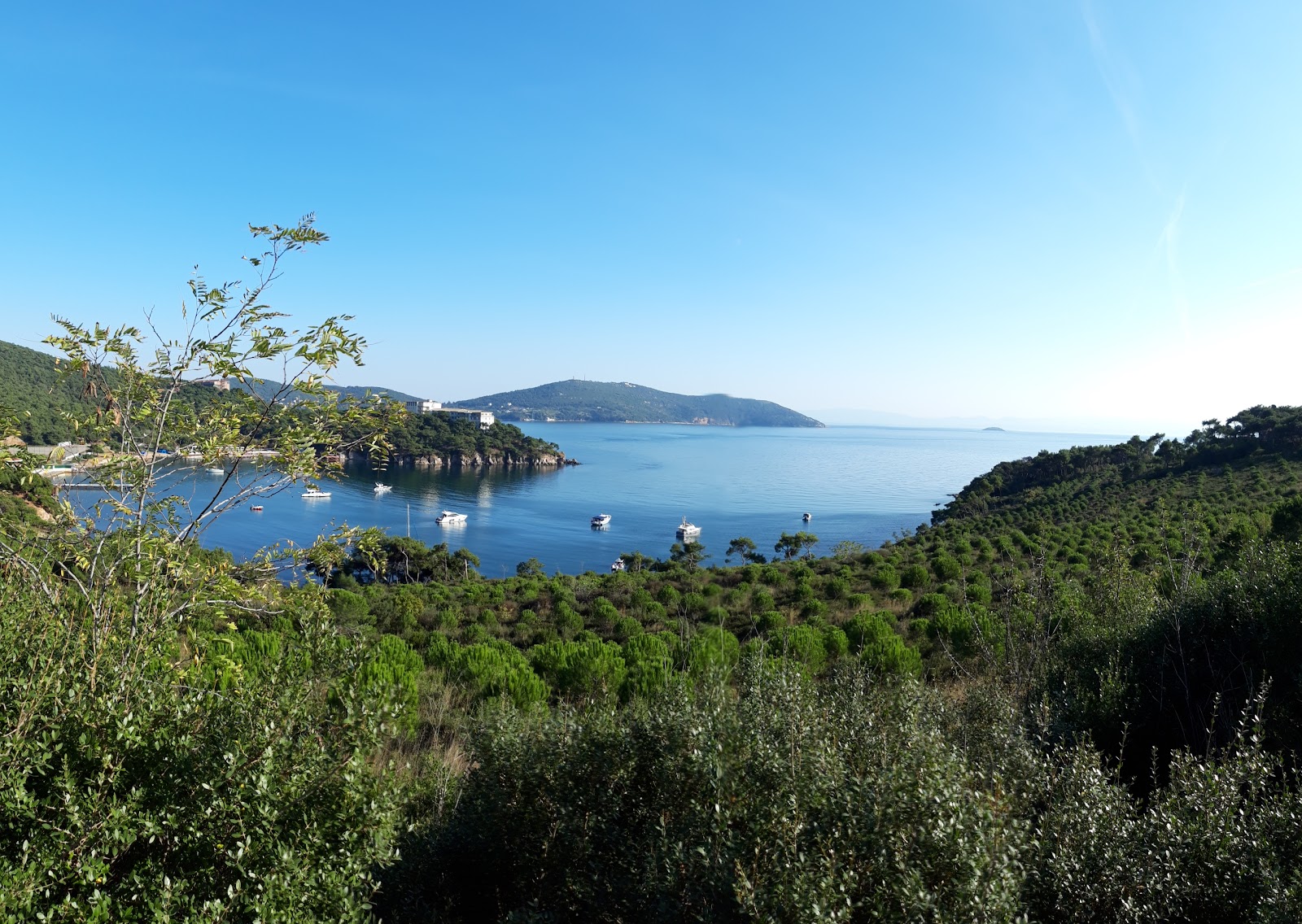 Çam Limanı Plajı — fotoğraf