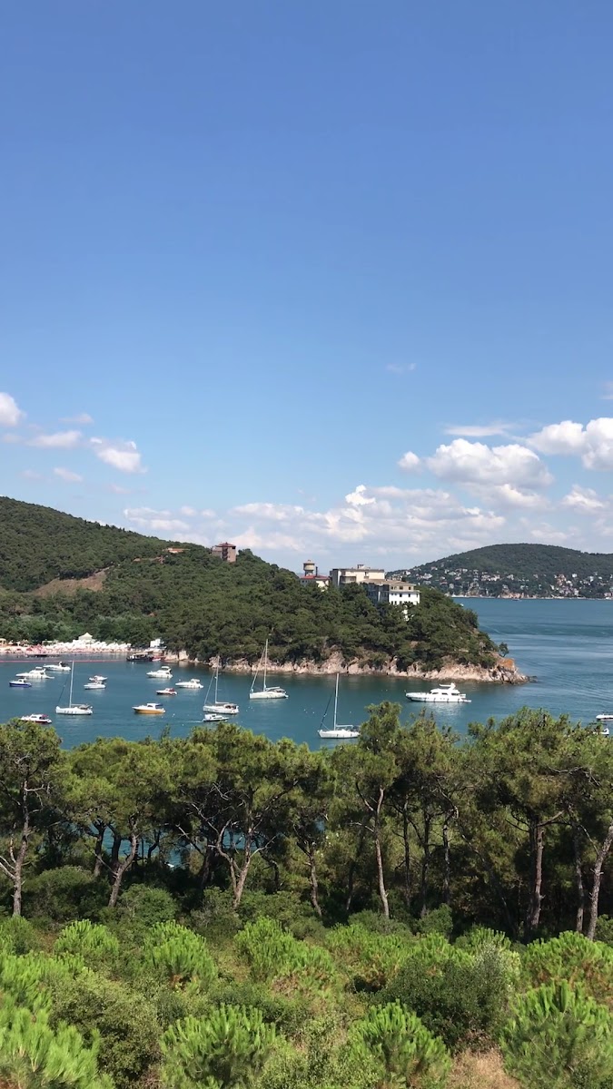 Çam Limanı Plajı — fotoğraf 3