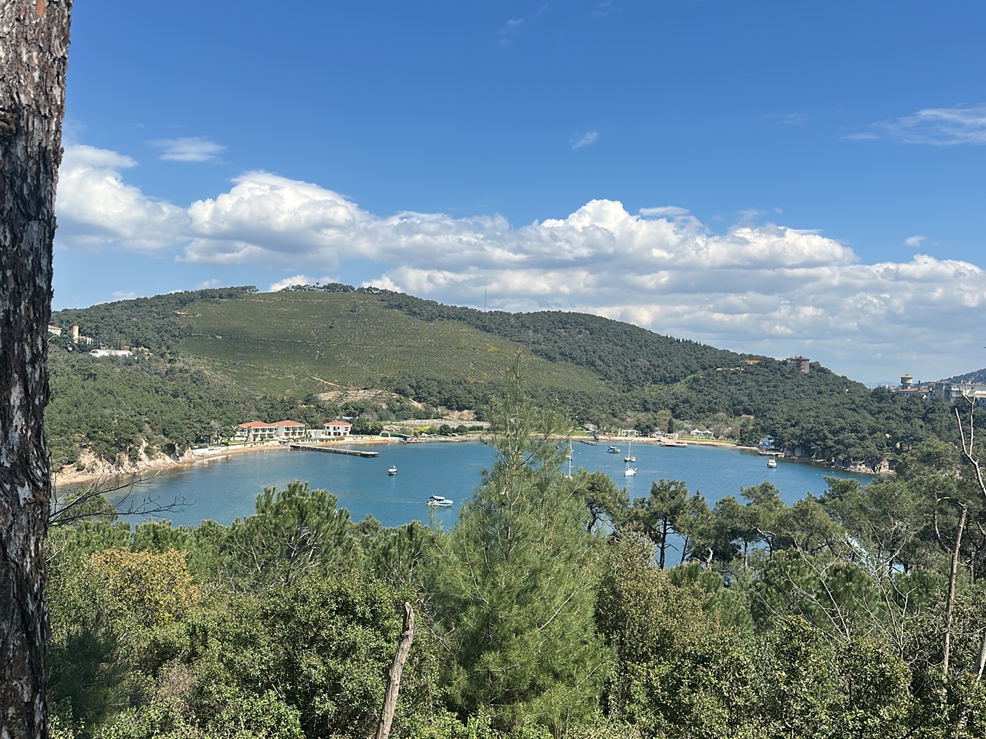 Çam Limanı Plajı — fotoğraf 4