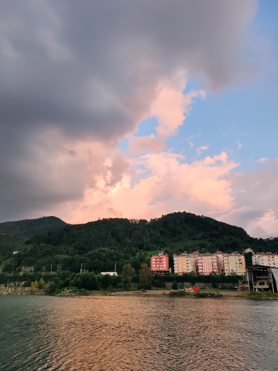 Çamburnu — photo 2