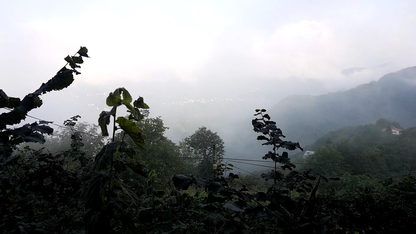 Camili Köfte Salonu - Ömer Usta'nın Yeri — fotoğraf 3
