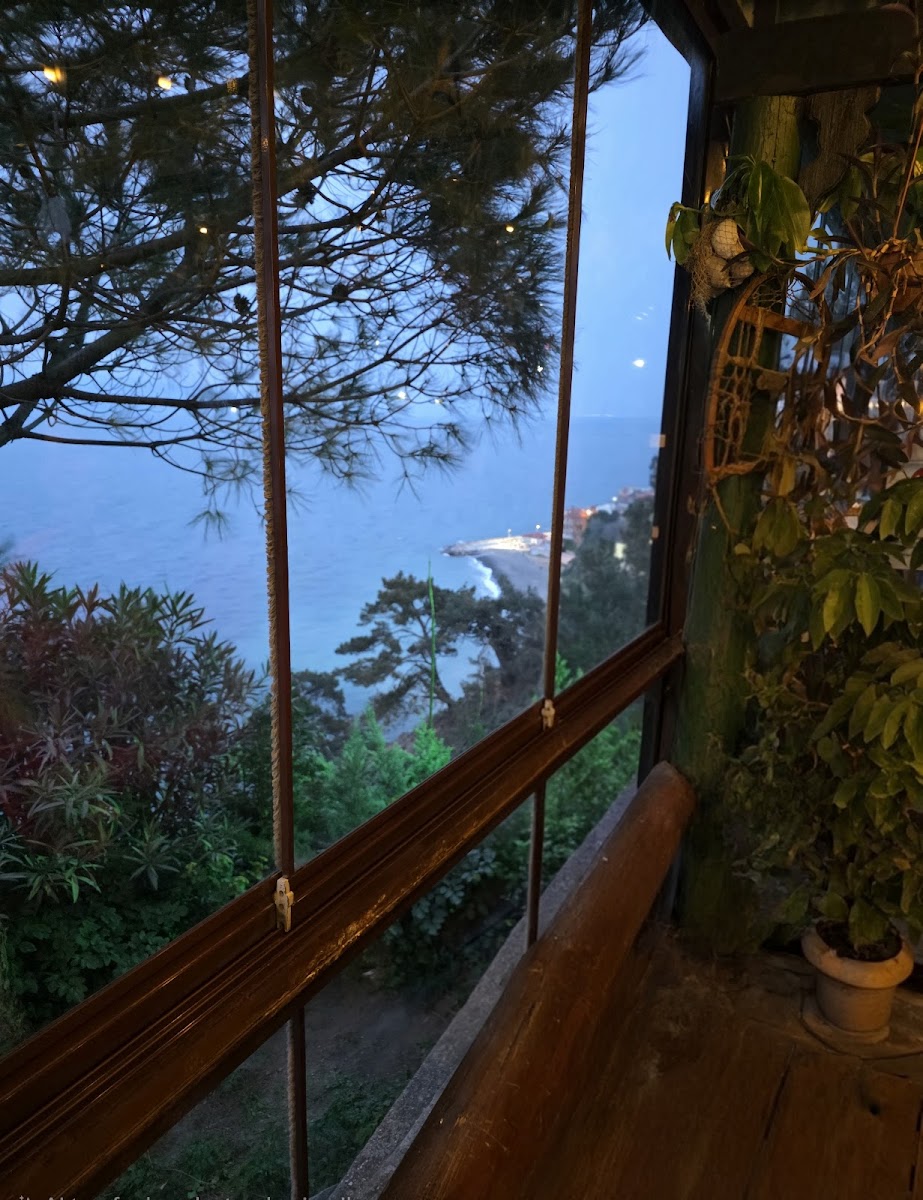 Çamlı Kahve — fotoğraf 2