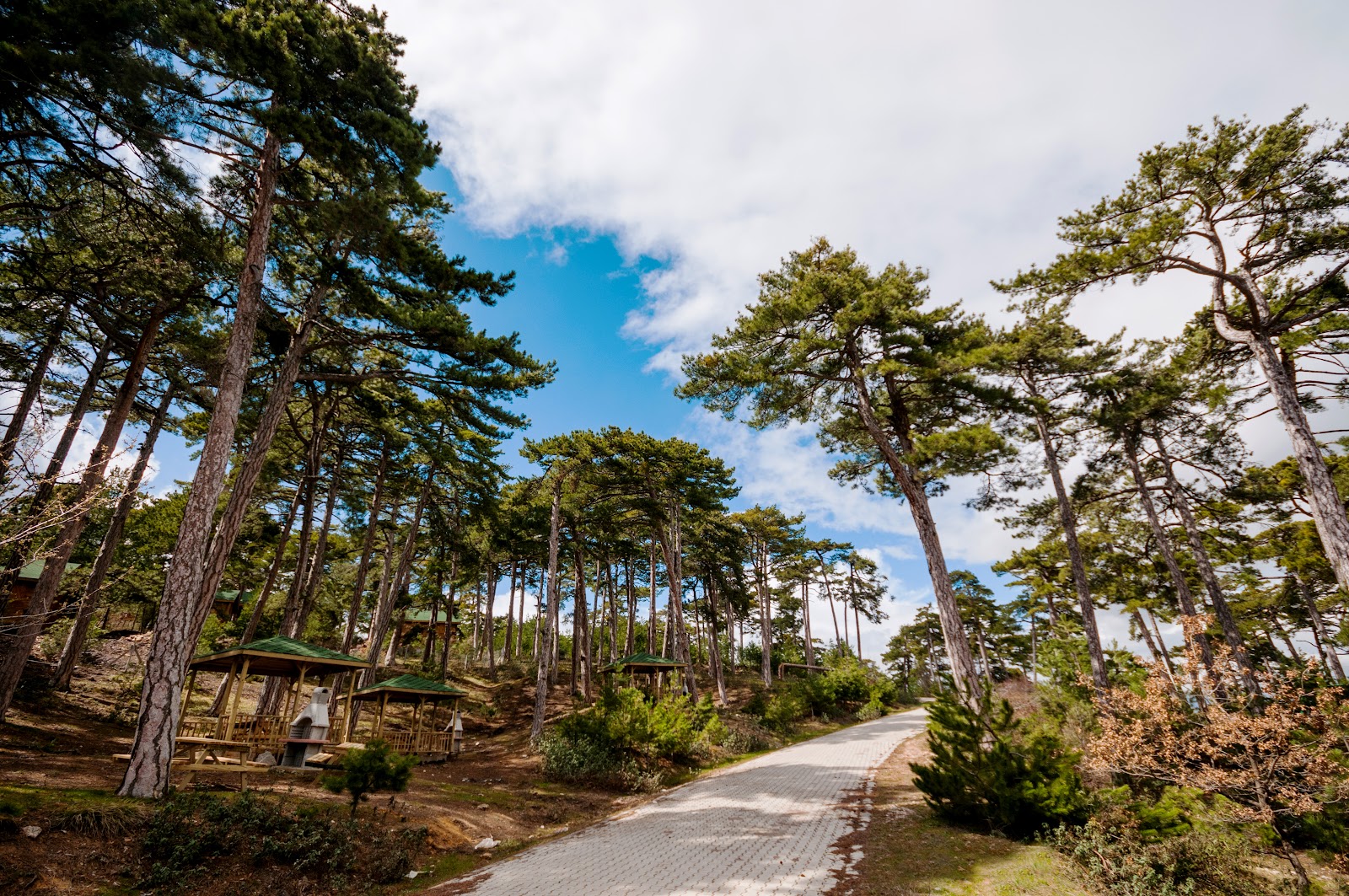 Çamlıca Tabiat Parkı — fotoğraf