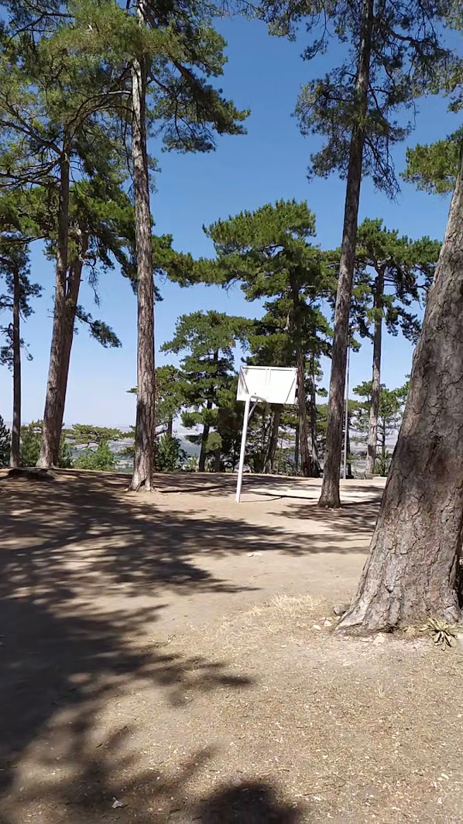 Çamlıca Tabiat Parkı — fotoğraf 3