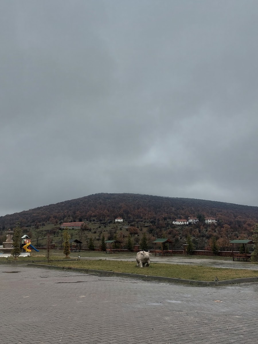 Çamlıdere Termal Hotel & SPA — fotoğraf 3