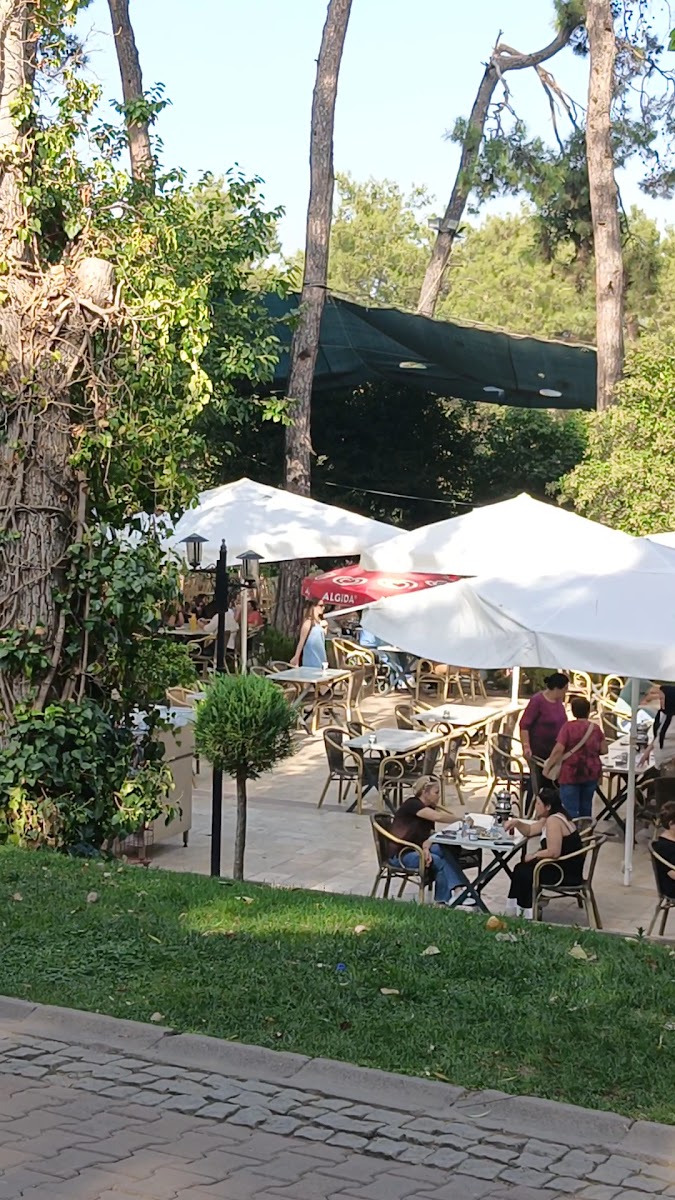 Çamlık Çay Bahçesi / Hayat Kahvesi — fotoğraf 3