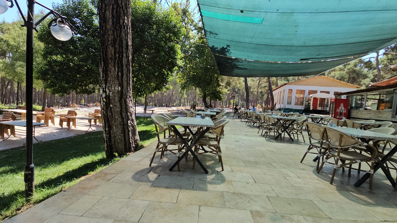 Çamlık Çay Bahçesi / Hayat Kahvesi — fotoğraf 5