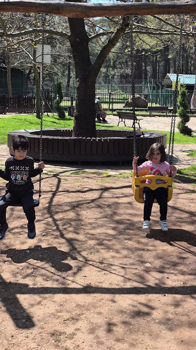Çamlık Hayvanat Bahçesi — fotoğraf 2