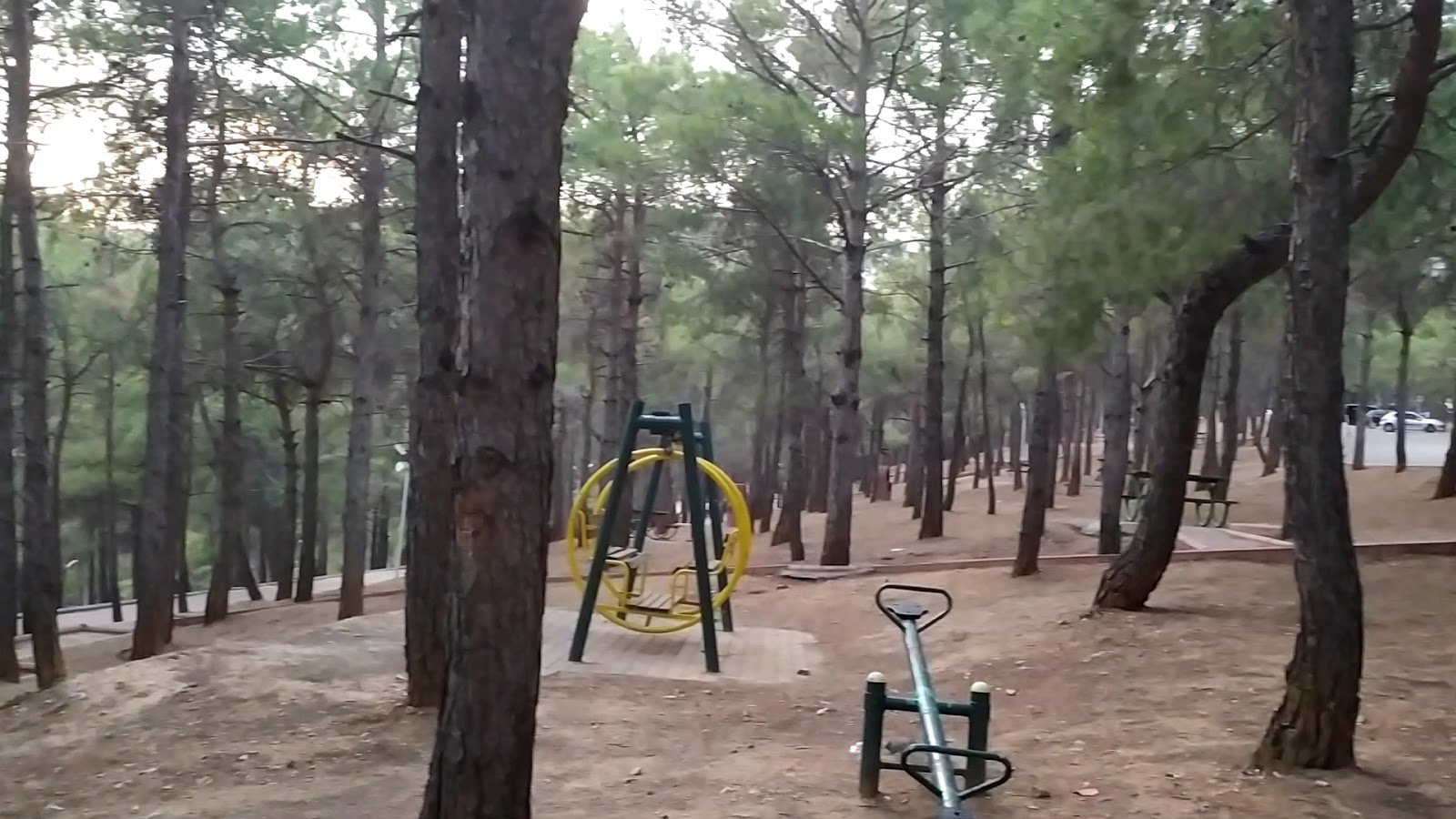 Çamlık Parkı — fotoğraf 2