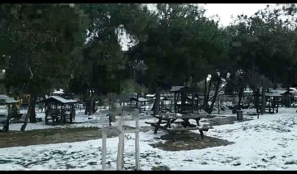 Çamlık Parkı — fotoğraf 3