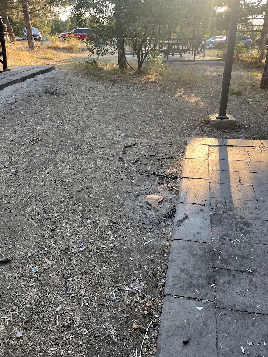 Çamlık Piknik Alanı — photo 2