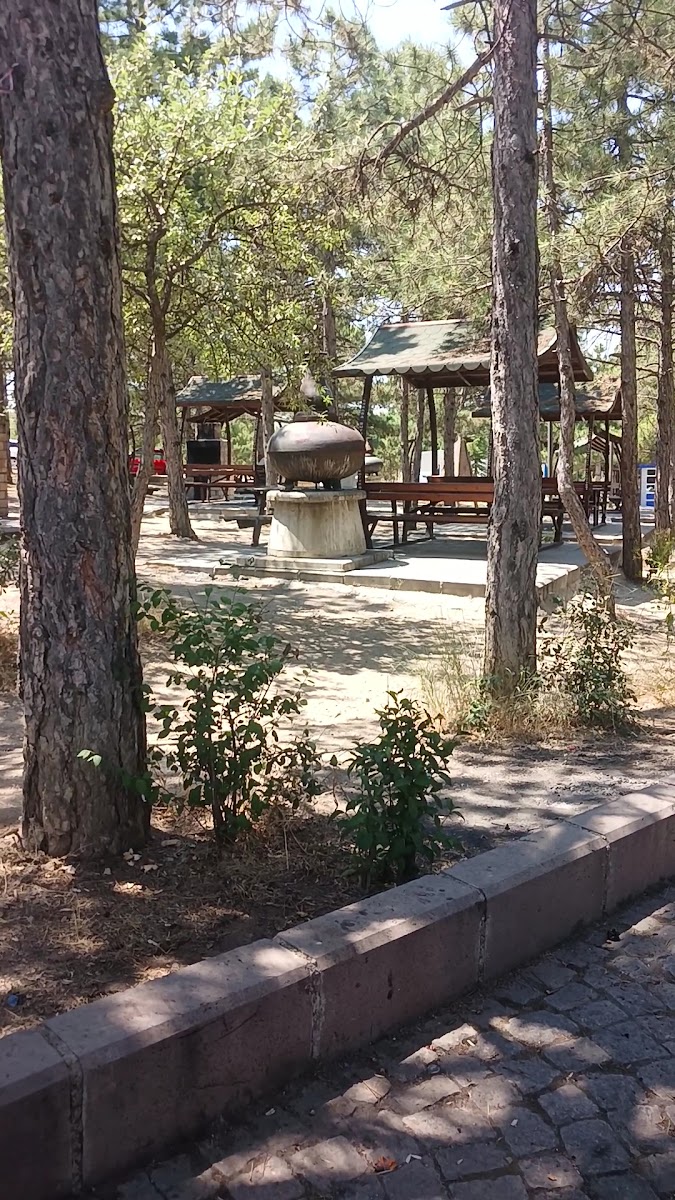 Çamlık Piknik Alanı — photo 3