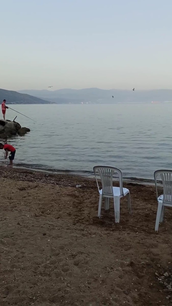 Çamlık Plaj,Mesire Alanı — fotoğraf 3