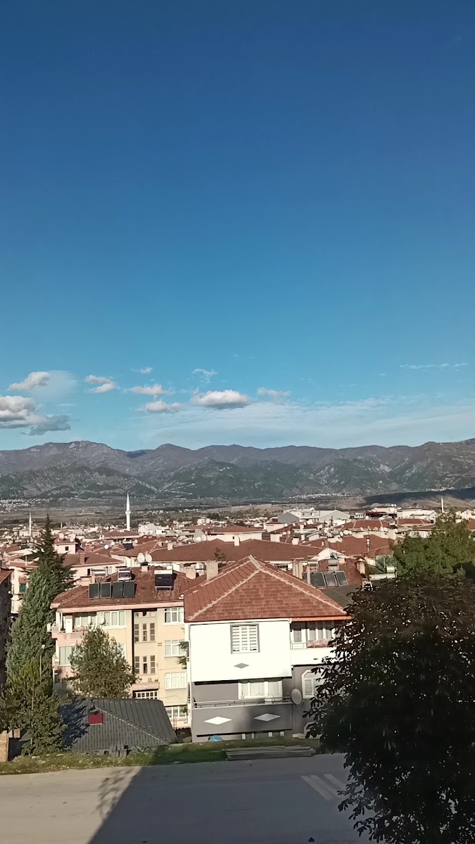 Çamlık Tesisleri — fotoğraf 3