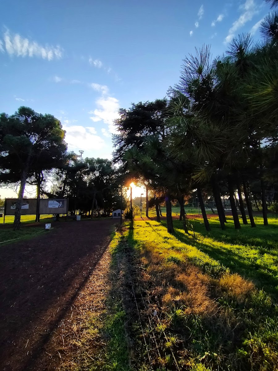 Çamlık Yürüyüş Alanı — fotoğraf 1