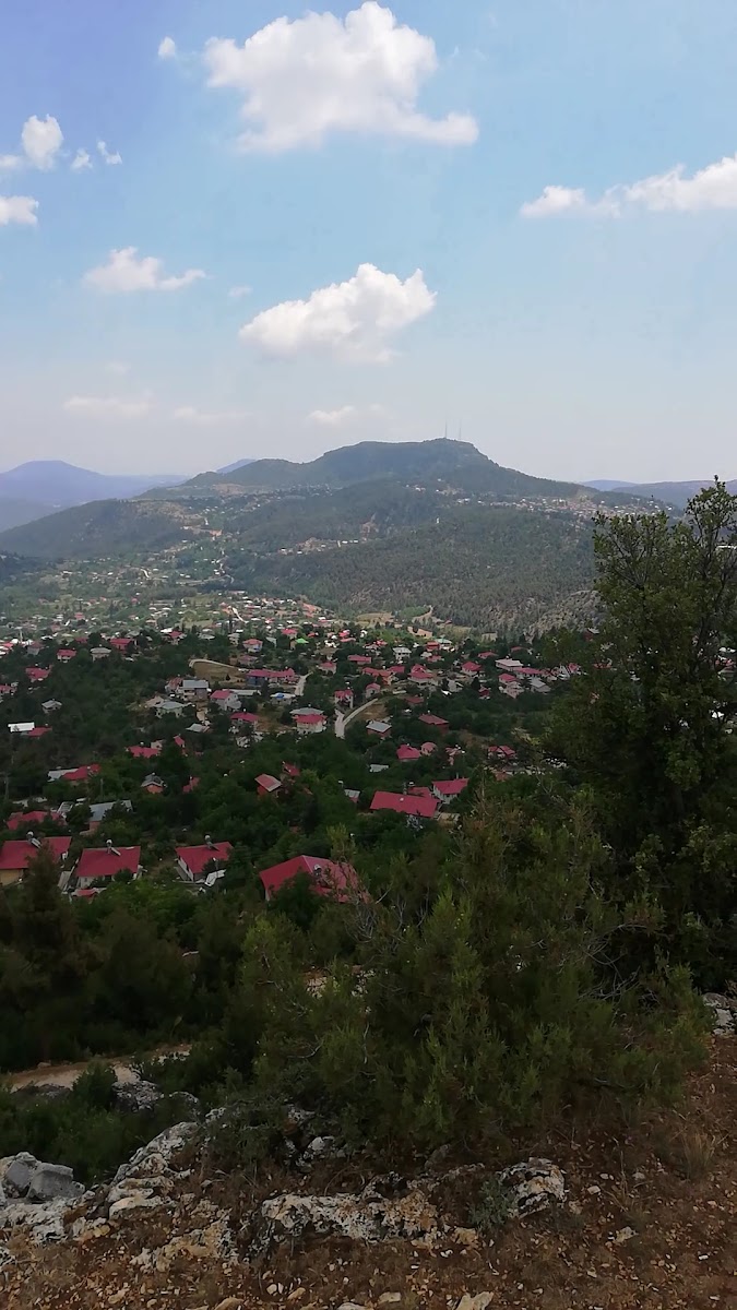 Çamlıyayla — fotoğraf 3