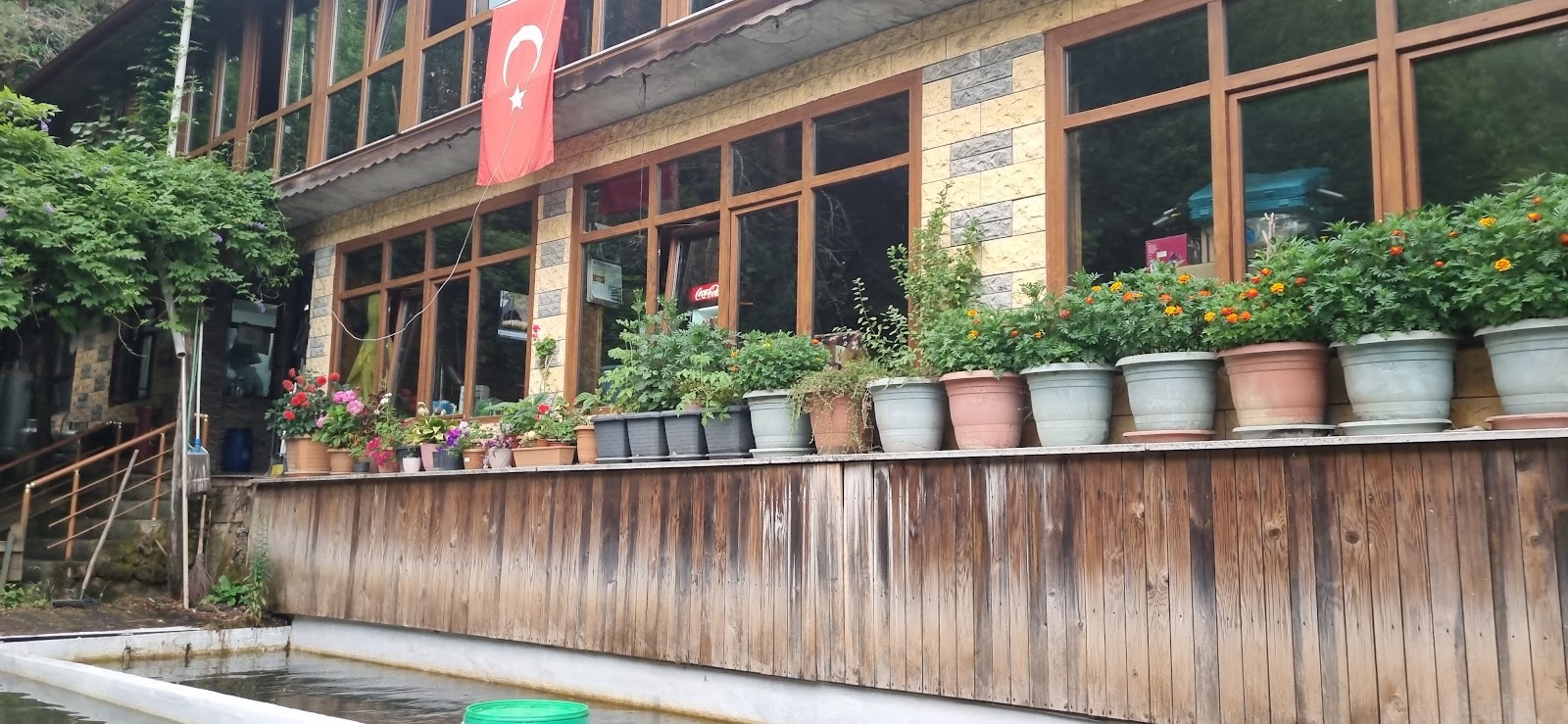 Can Alabalık — fotoğraf