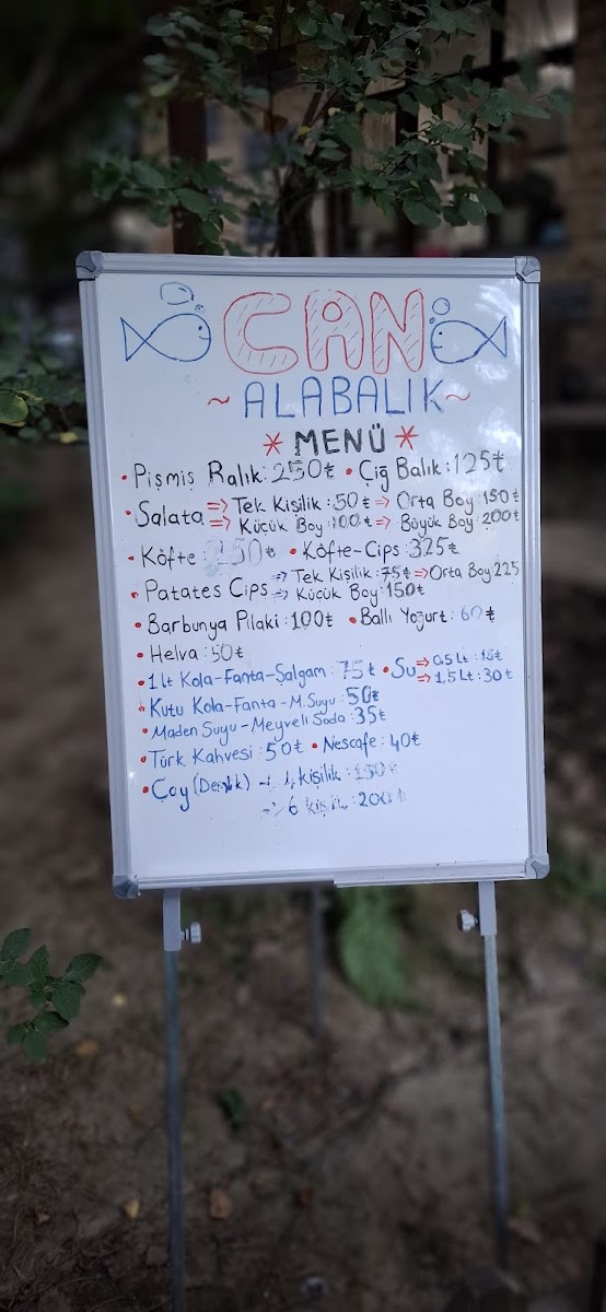 Can Alabalık — fotoğraf 2