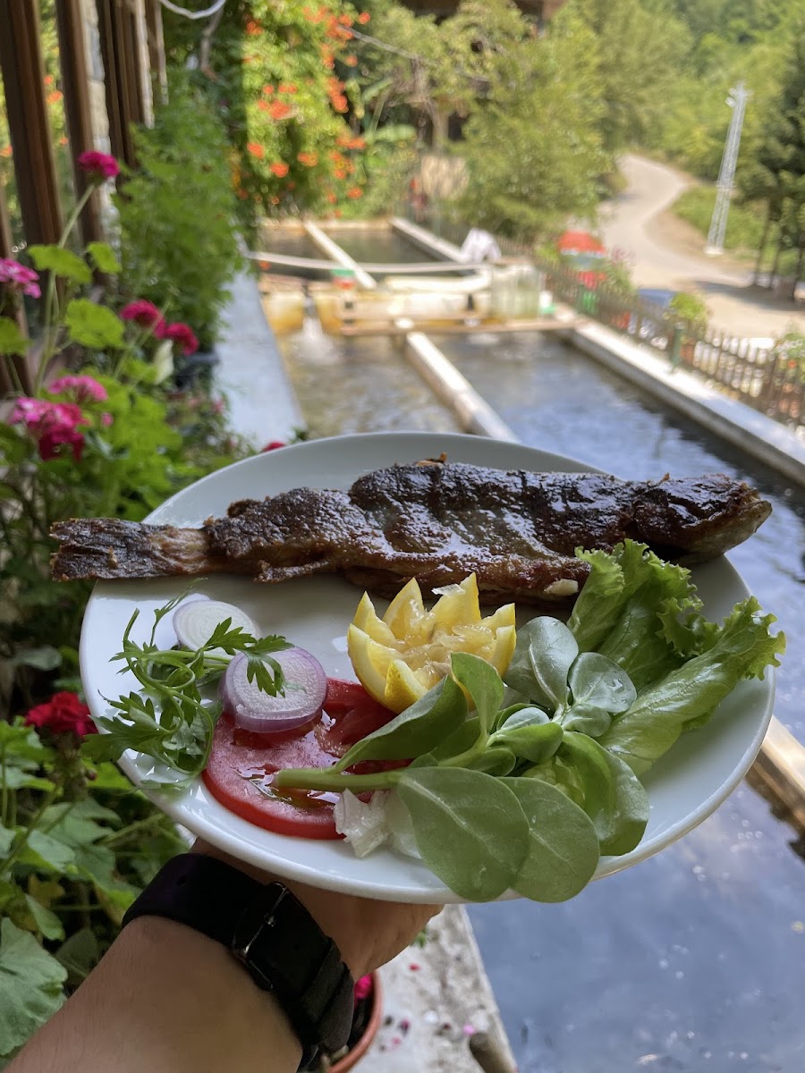 Can Alabalık — fotoğraf 4