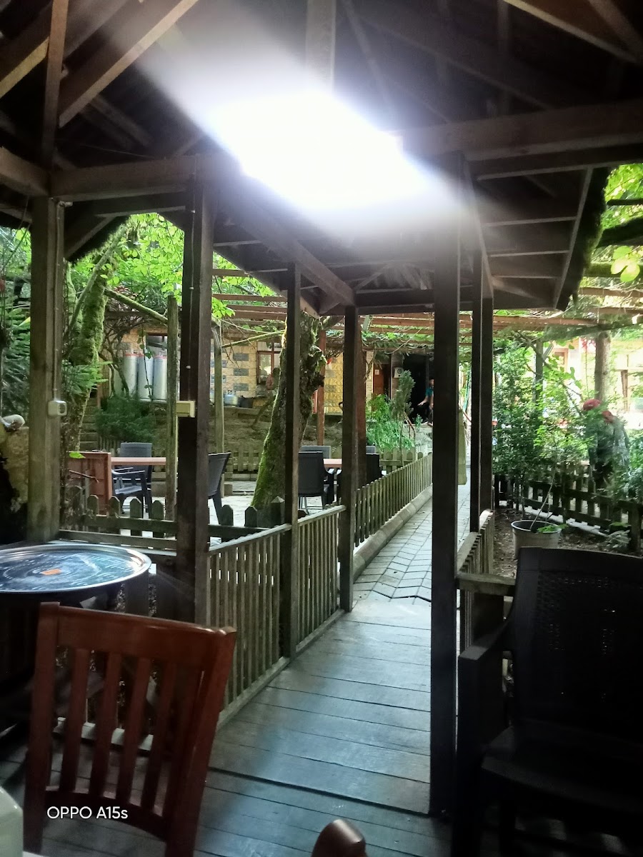 Can Alabalık — fotoğraf 5
